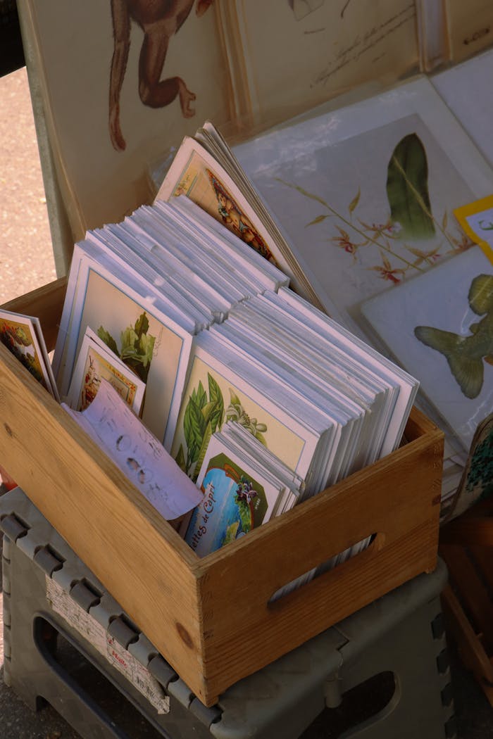 Collection of botanical prints in a Paris flea market, perfect for vintage art enthusiasts.